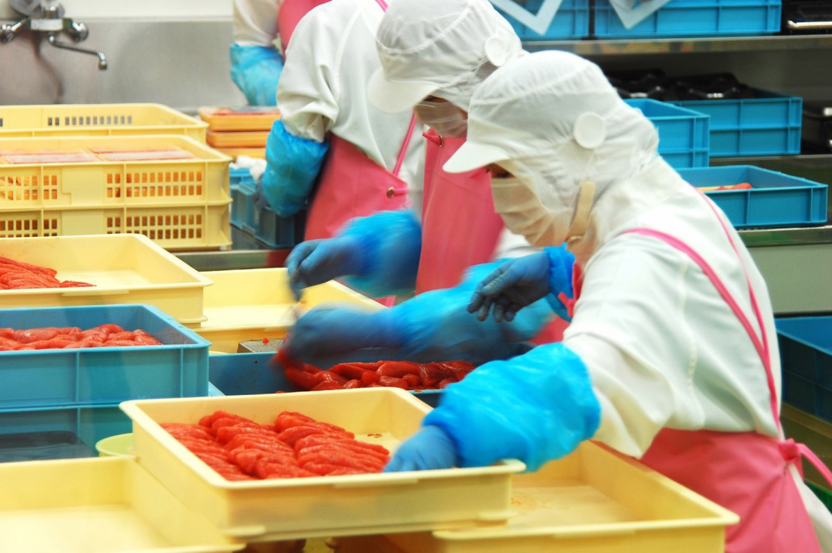 食中毒予防の3原則を守り、徹底した衛生管理を実施しよう