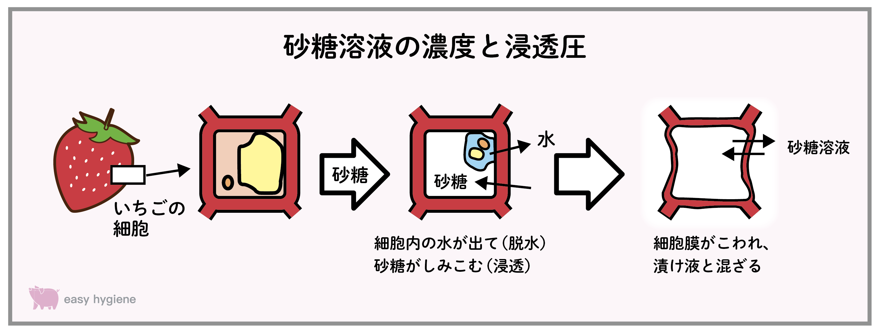 浸透圧と脱水作用のメカニズム